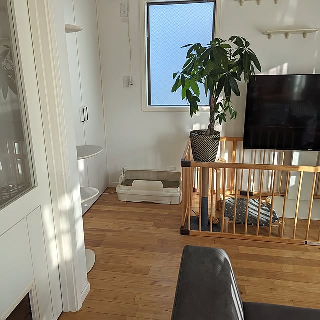 poteさんの部屋