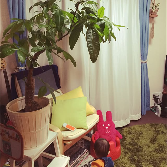 Yokoさんの実例写真