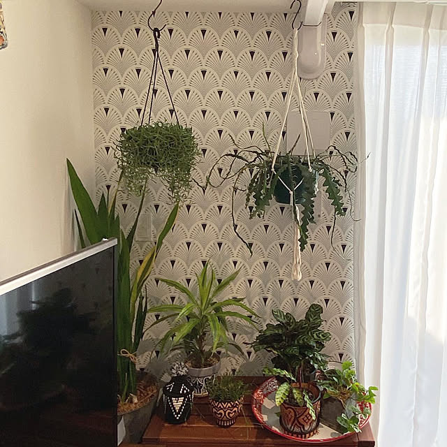 Kさんの部屋