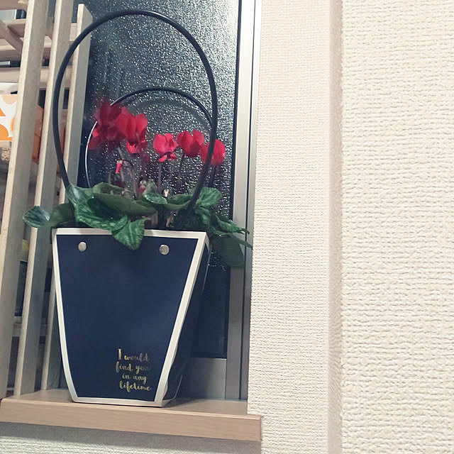 mmpoohさんの実例写真