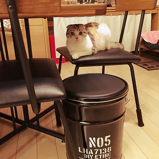 yokkochanさんの実例写真