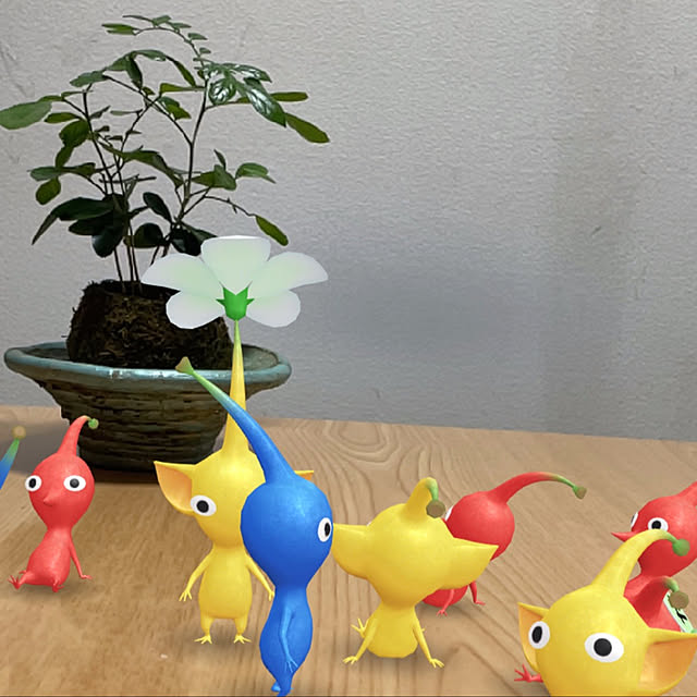 hobibiさんの実例写真