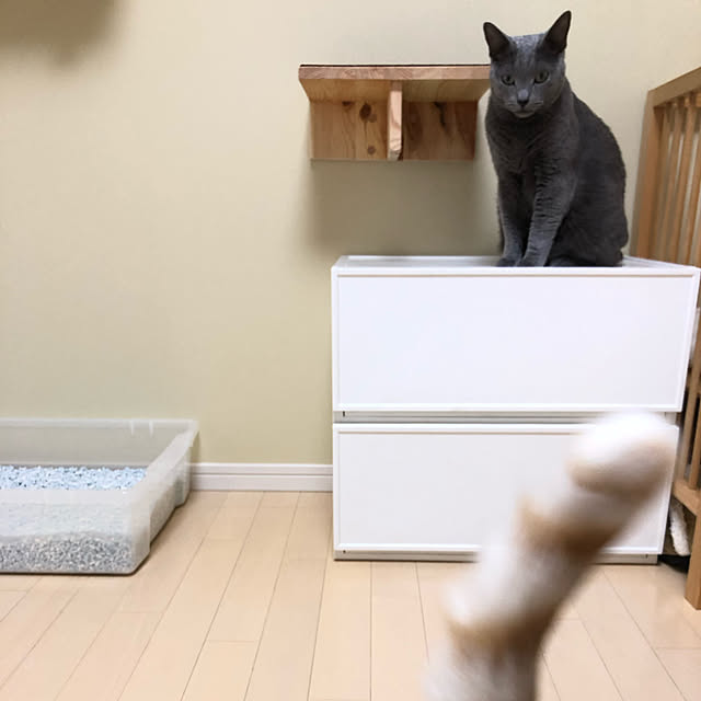 Minaさんの実例写真