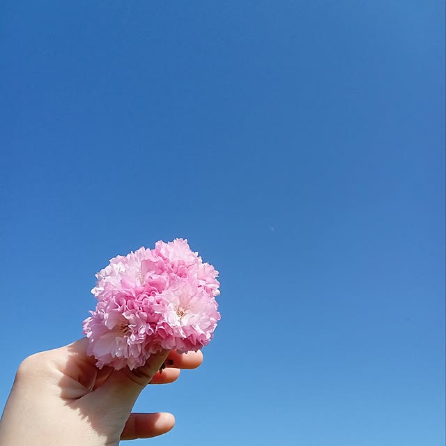 mahiro34さんの実例写真