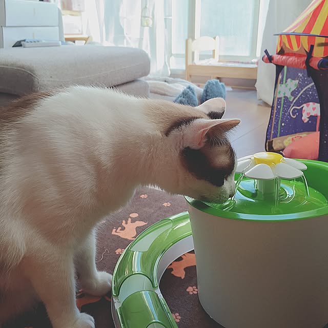 AcanEさんの実例写真
