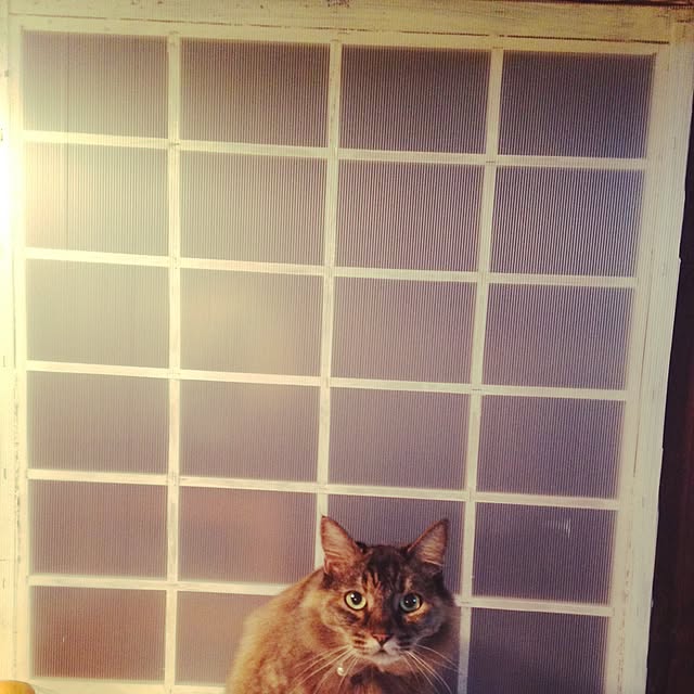 Miさんの実例写真