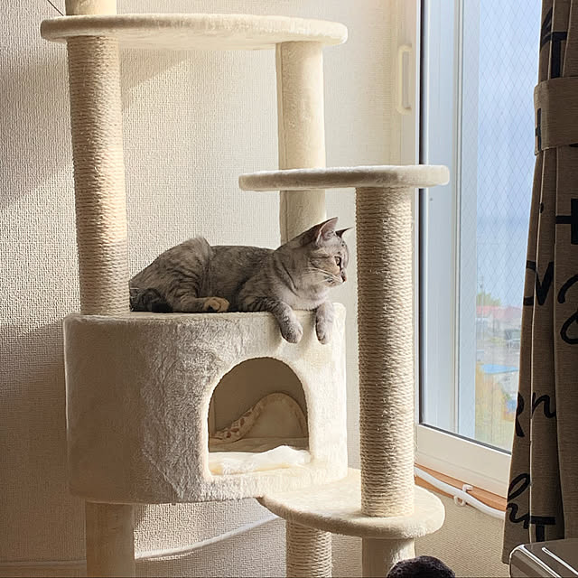 erichinさんの実例写真