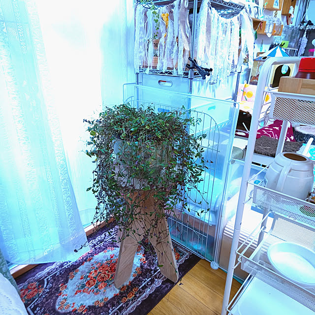 mariaさんの実例写真