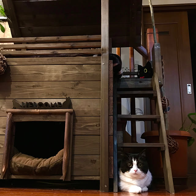 butachanさんの実例写真