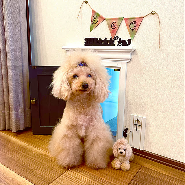 fuafuaさんの実例写真