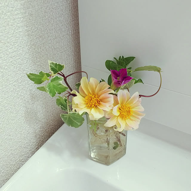 katuさんの実例写真