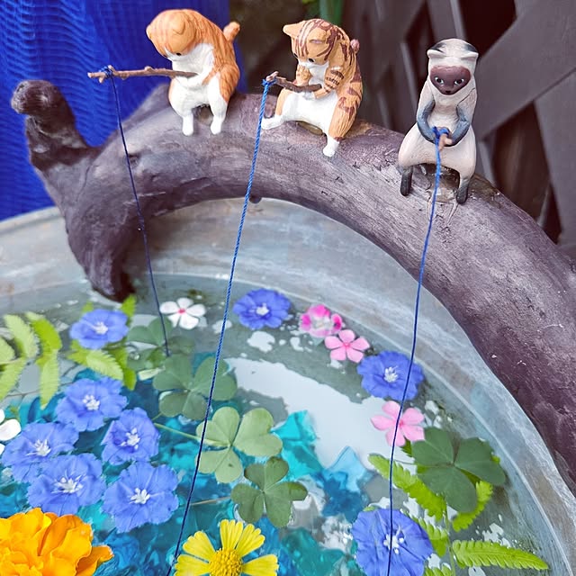 mocomocoさんの部屋