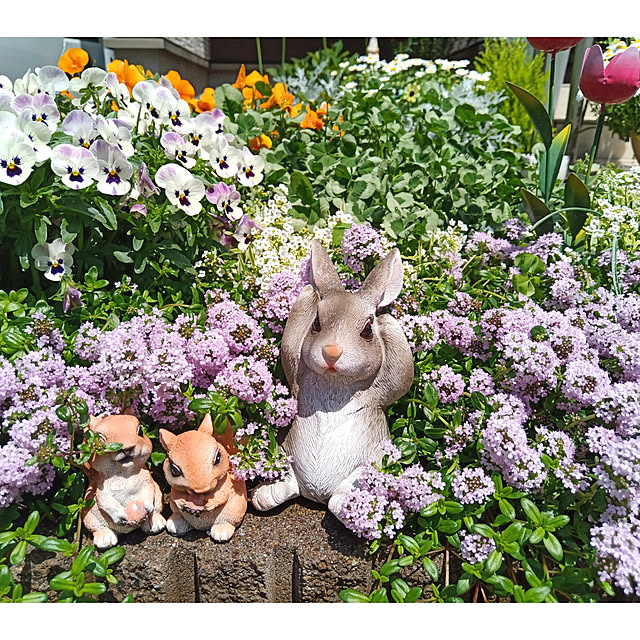 aquaさんの実例写真