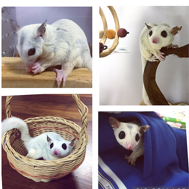 sさんの実例写真