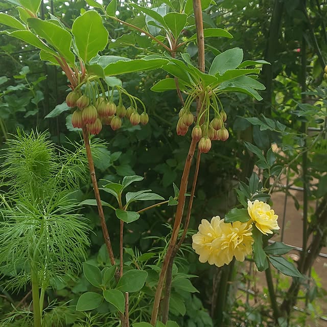 mmpoohさんの部屋