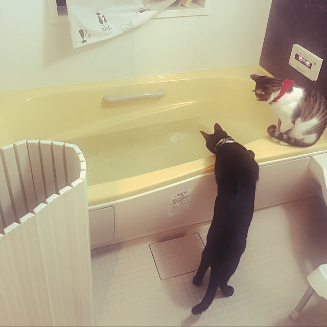 jijiさんの実例写真