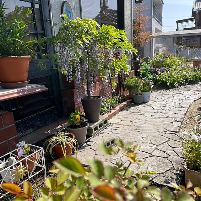 shin0719さんの実例写真