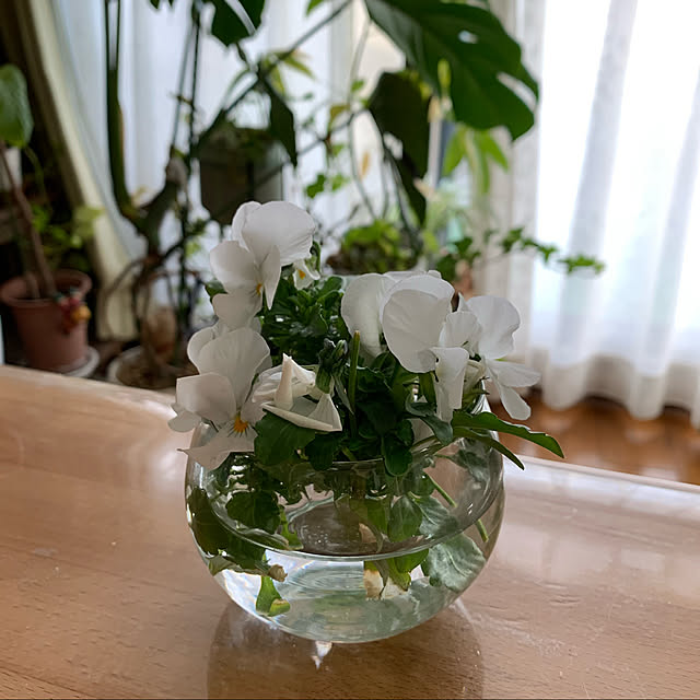 pakilaさんの実例写真