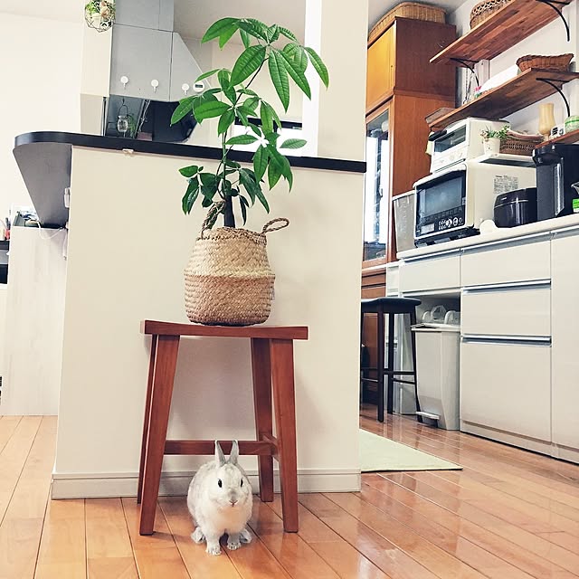 mutsuさんの実例写真