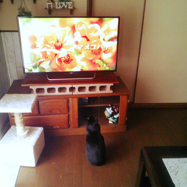 Tomopさんの実例写真