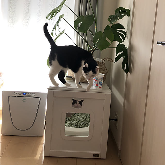 k.Iさんの実例写真