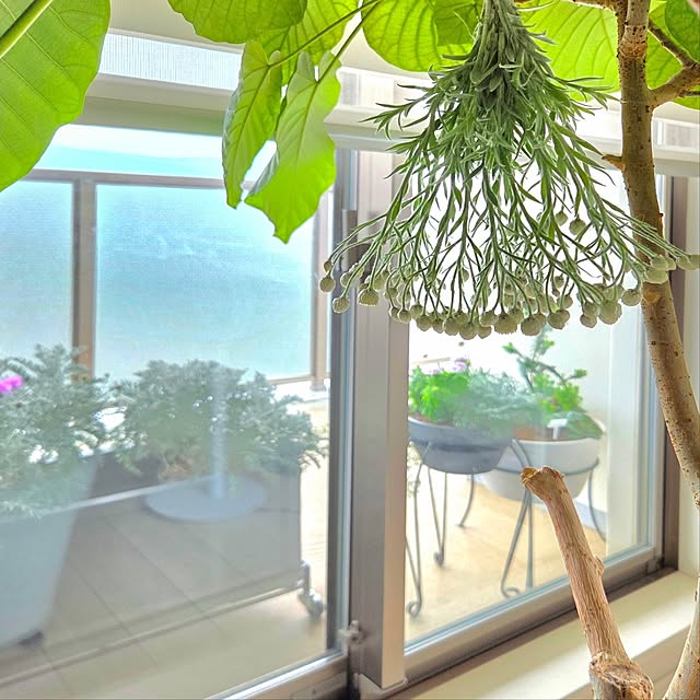 KLさんの実例写真