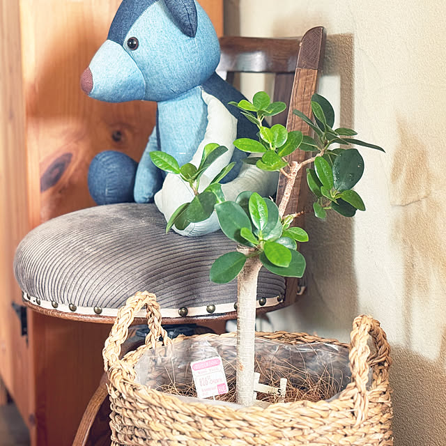 Rucy3107さんの実例写真