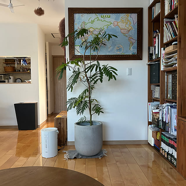 hatsugaさんの実例写真