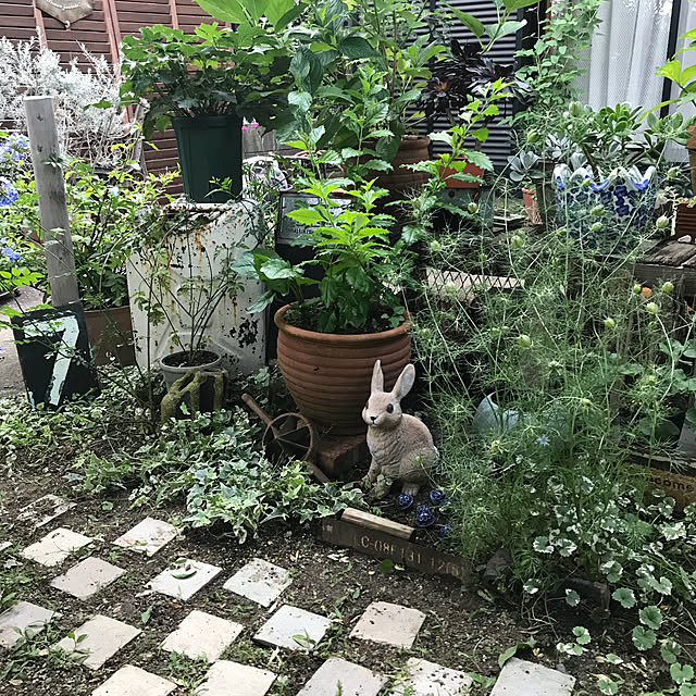 bibianさんの実例写真