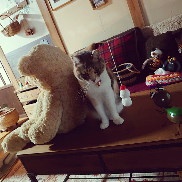 fukuさんの実例写真