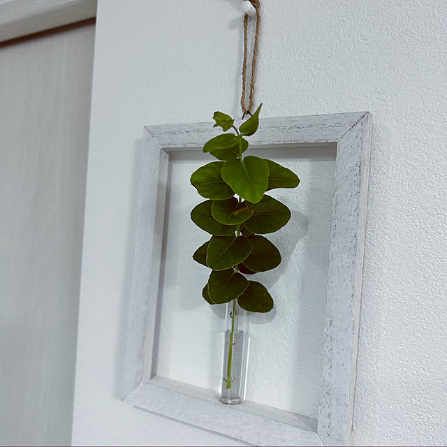 Can☆Do/セリア/スリムな針でピン跡が目立たない押しピン♡/さりげなくgreenを取り入れたい/100均インテリア...などのインテリア実例 - 2022-10-19 00:26:44