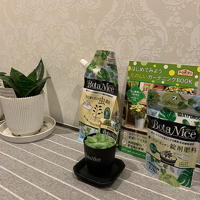 mikeume7さんの実例写真