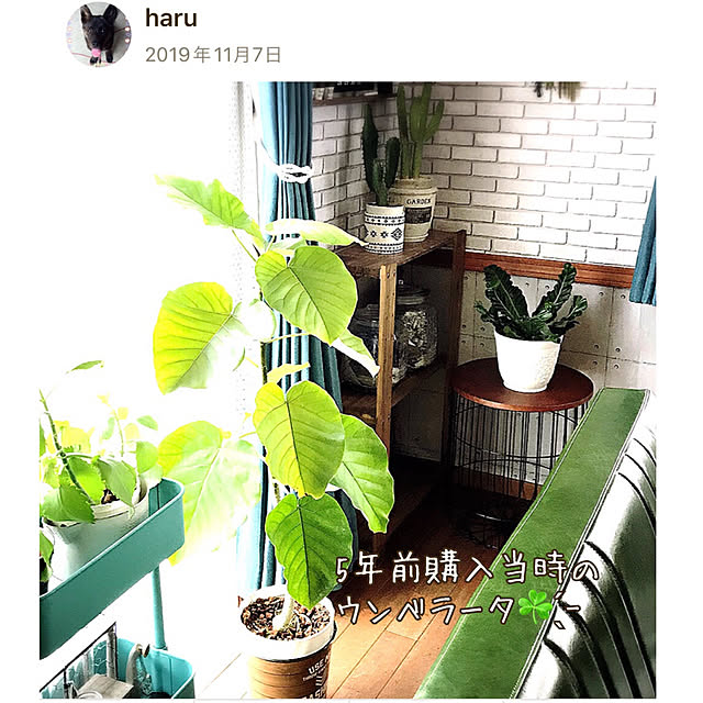 haruさんの部屋