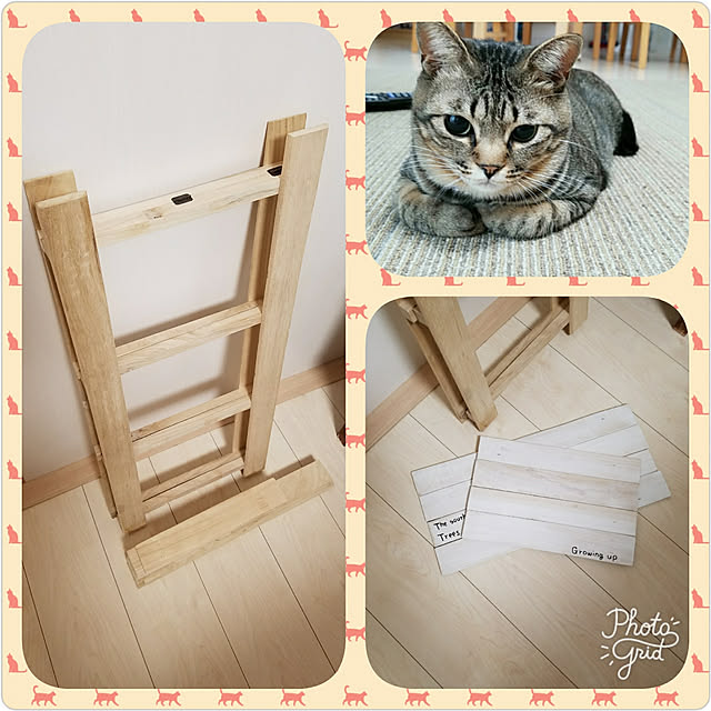 t-famさんの実例写真