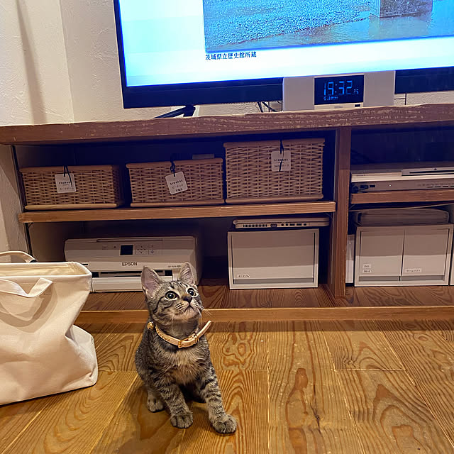 puu.tuuliさんの実例写真