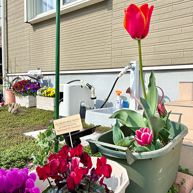 Junさんの実例写真