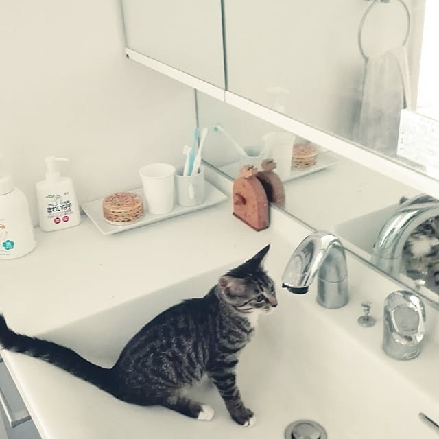 mappyさんの実例写真