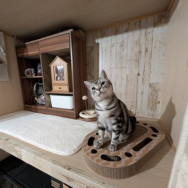 lovepeaceさんの実例写真