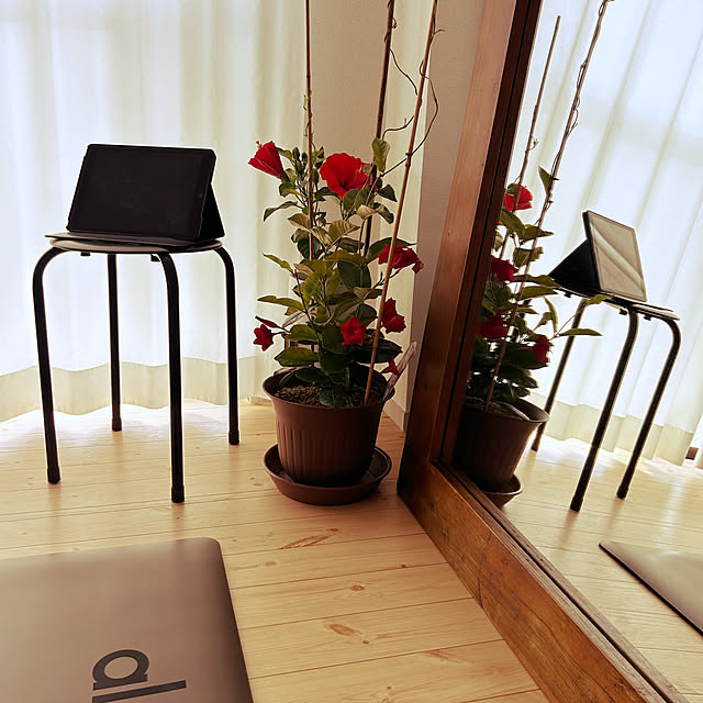 nee_roomさんの部屋