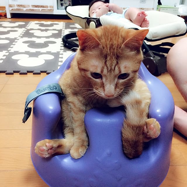 jdannabcさんの実例写真