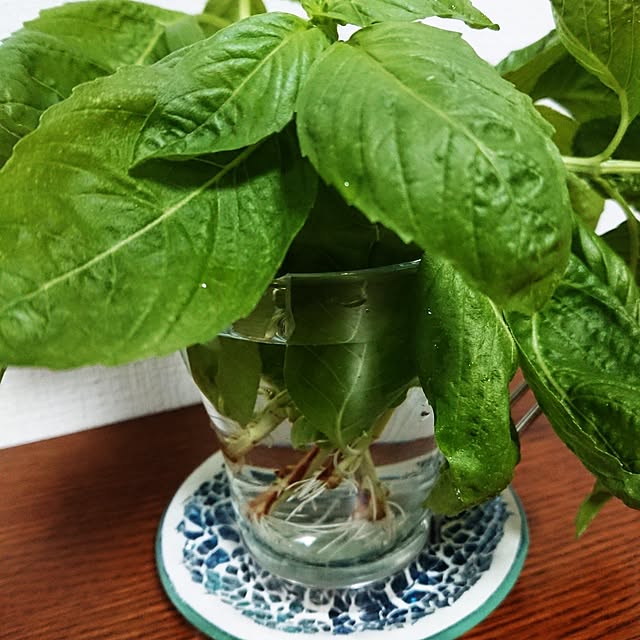 hopkeiさんの実例写真