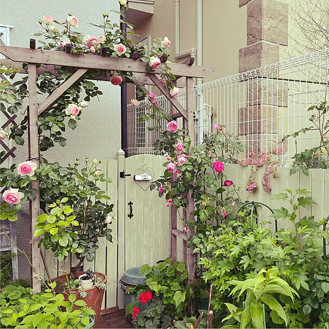 seiseiさんの部屋
