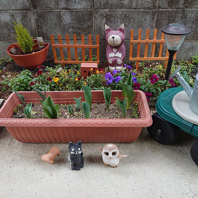 fukuさんの実例写真