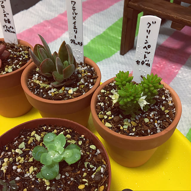 seiさんの実例写真