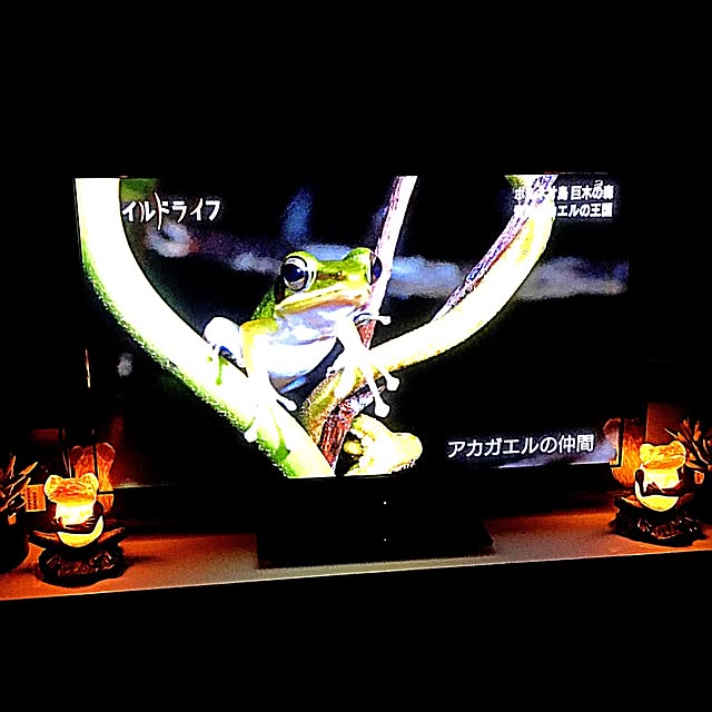 kaerucoさんの実例写真