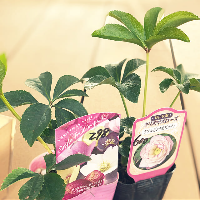 hinamamaさんの実例写真