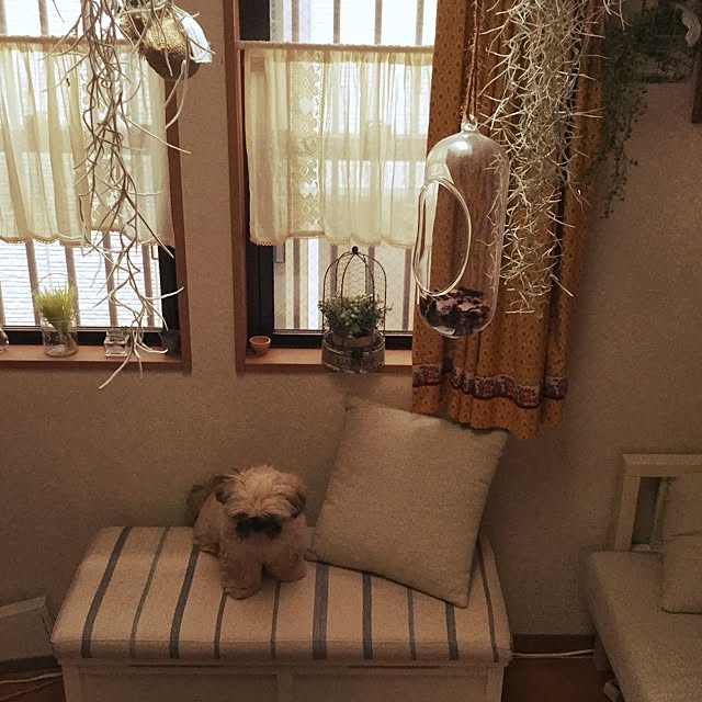 kotamaruさんの実例写真