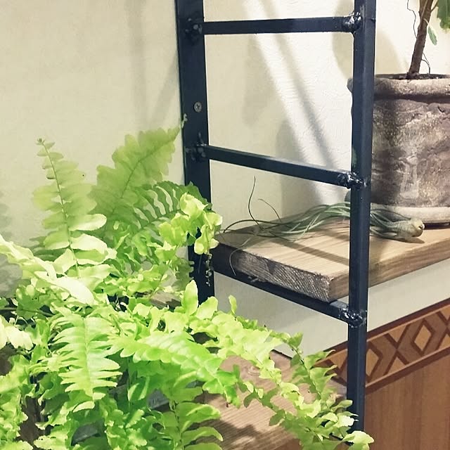ponchanさんの実例写真