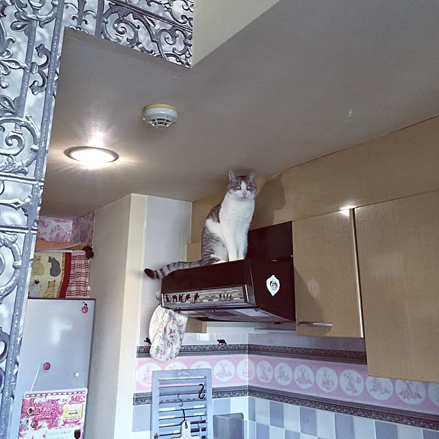 emmyyさんの実例写真