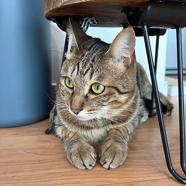 you-aaa.eさんの部屋